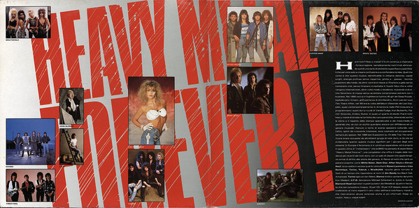 Various – Heavy Metal Forever! - The Ultimate Collection - 2LP Gatefold - Image 4